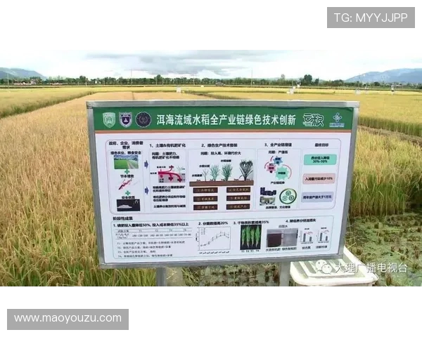 上海羽毛球队团队协作新模式探讨与实践成果分享 上海羽毛球队团队协作新模式探讨与实践成果分享