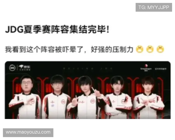 DOTA2热议JDG团队协作引发的争议与反思