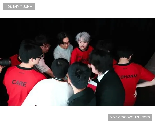 FPX在职业联赛中的耐力表现分析与未来展望