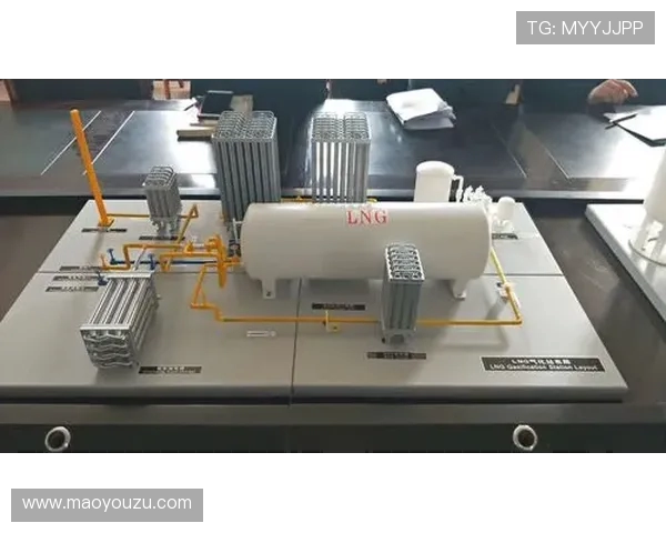 LNG在大师赛中的团队协作与配合表现深度分析与点评