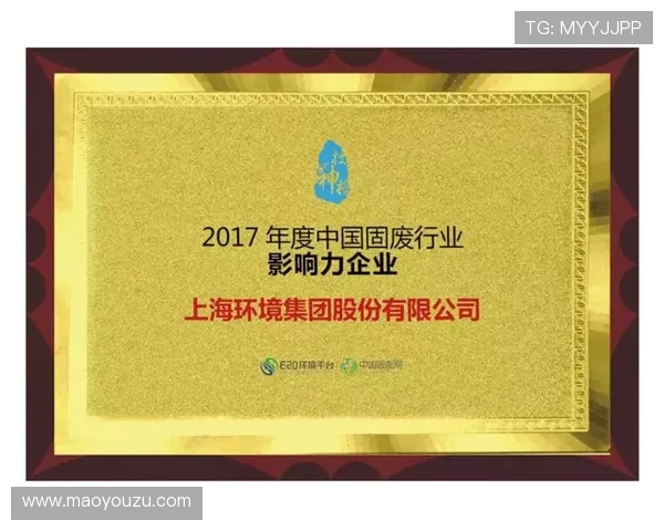 上海篮球队运营模式深度解析与市场影响力探讨