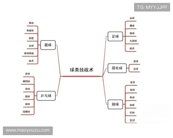 杭州篮球队反击战术解析：从深度分析看球队成长与未来发展