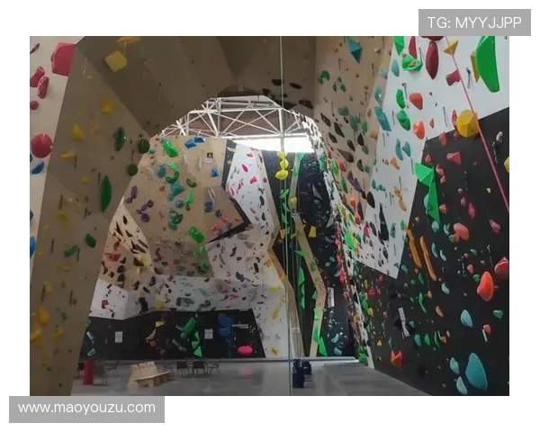 武汉攀岩队与北京攀岩队的灵活性较量赛后分析与反思