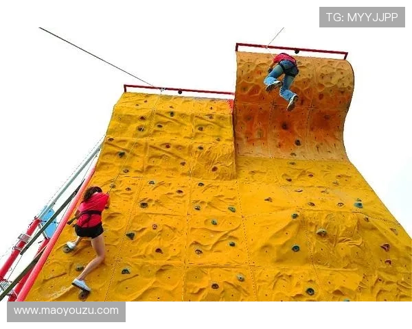 武汉攀岩队速度挑战赛的技术分析与训练策略探讨