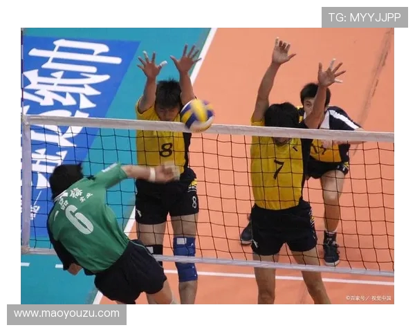 深圳排球队在排球团队协作排行榜中荣获第三名的背后故事与成就分析