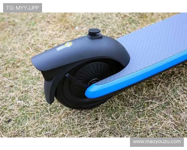 滑板评论：探讨上海滑板队运营中的成功经验与面临的挑战