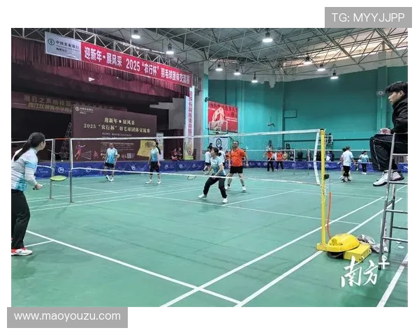 赛后分析：北京羽毛球队与深圳羽毛球队技术对比与战术探讨
