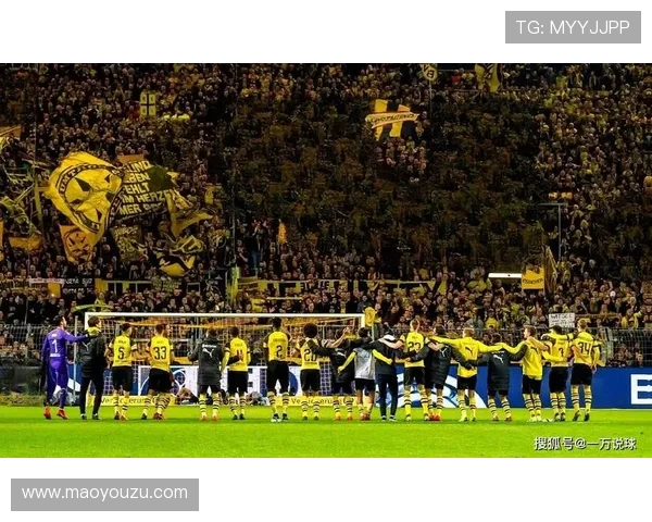 佛莱堡与多特蒙德精彩对决直播全程回顾与分析