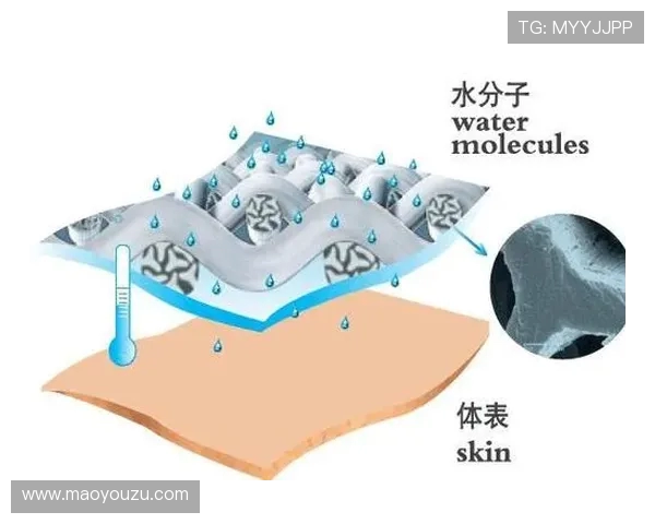 声速的测量方法与原理探讨及其在科学研究中的重要性分析