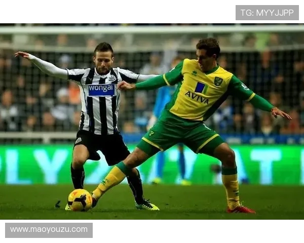 维拉与诺维奇对决前瞻分析及胜负预测解析