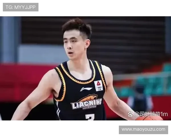 赵继伟:从篮球新星到国家队核心的成长之路与未来展望