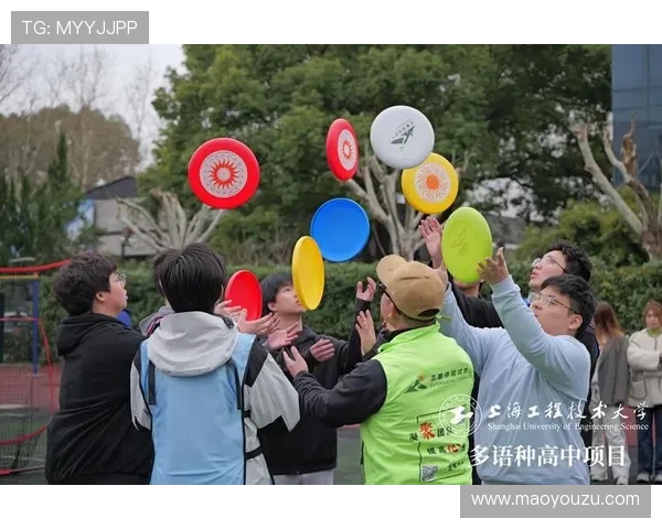 飞盘竞技的魅力与挑战：深入解析上海飞盘队的战术与团队协作