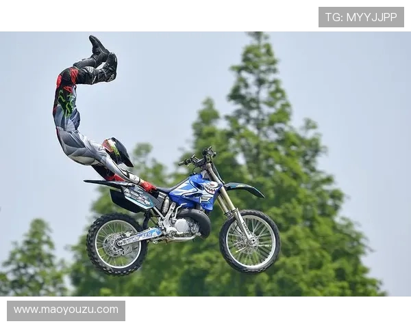 极限运动战术解析上海极限运动队的创新防守体系探讨