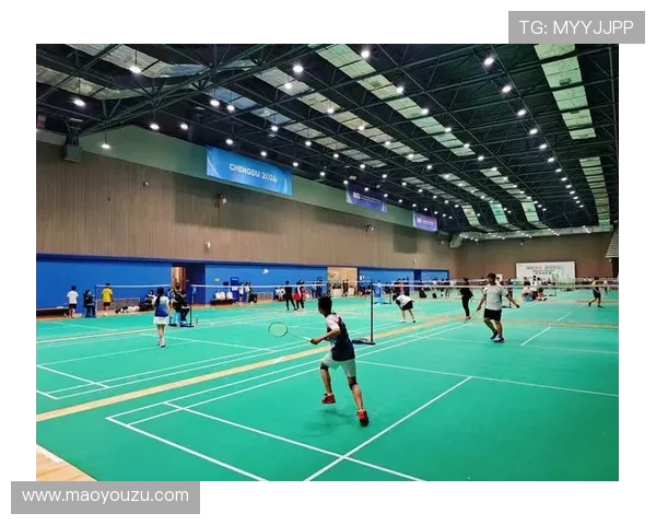 羽毛球技术排行榜揭晓成都羽毛球队荣登第八位引发关注