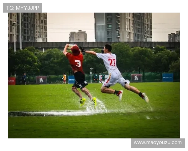飞盘意识排行榜揭晓杭州飞盘队荣登第七名引发关注与讨论