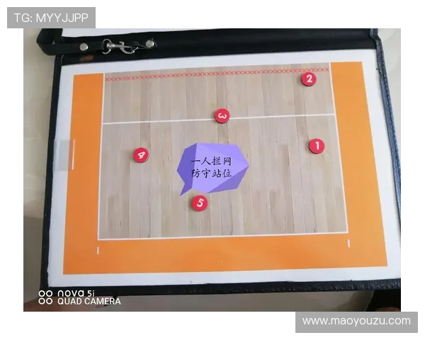 南京排球队的战术革新与球员转型深度解析